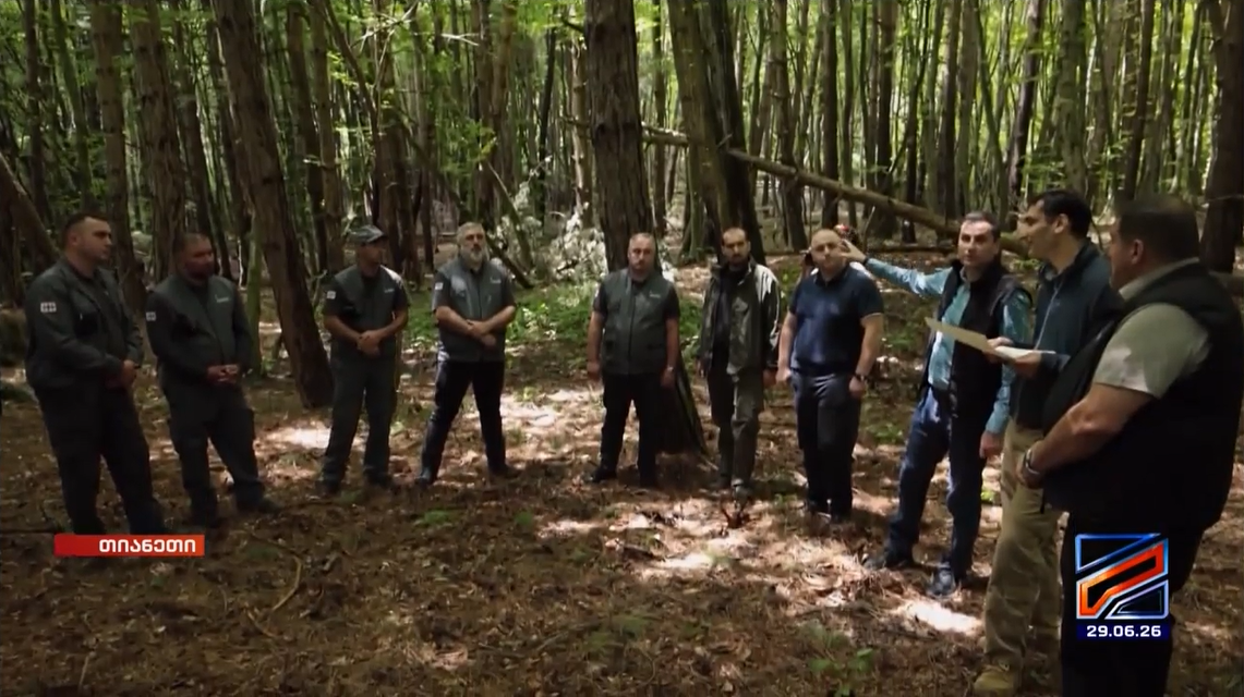 Forest Inventory Works Completed in Tianeti