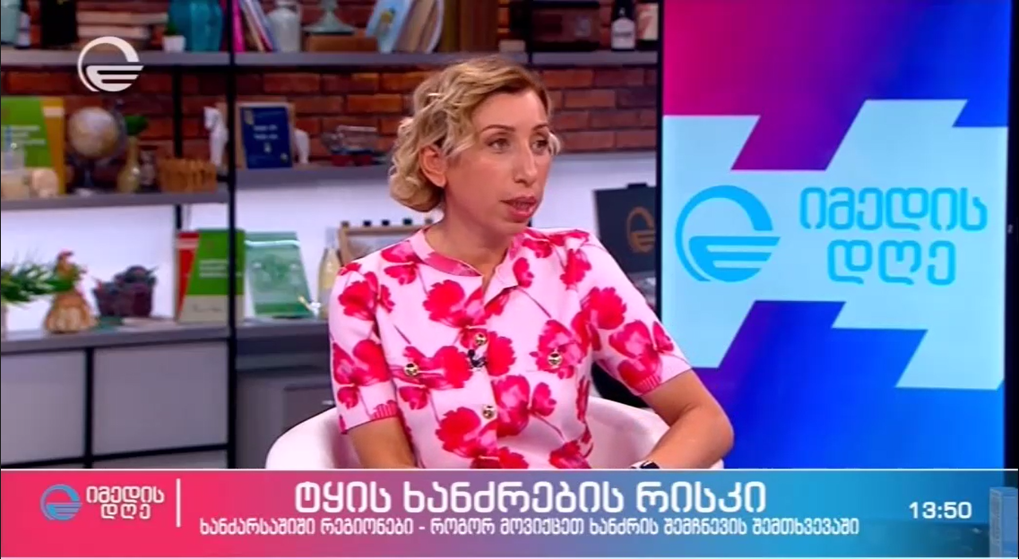Natia Iordanishvili Discusses Forest Fire Risks on TV Show "Imedis Dghe"