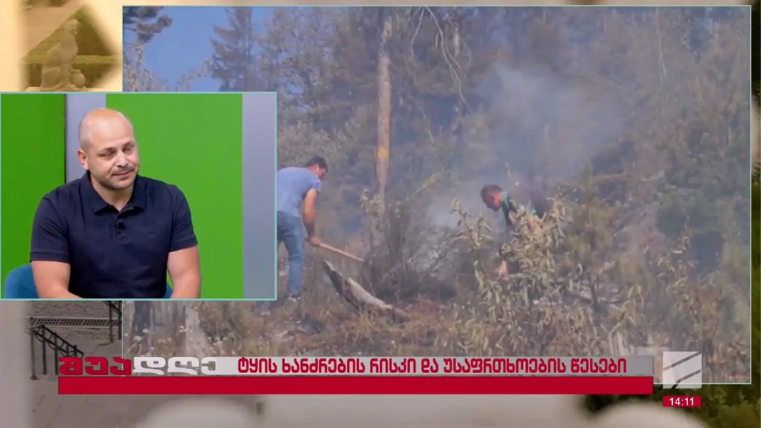 Data Kobakhidze on Forest Fires on Tv show  "Shua Dghe"