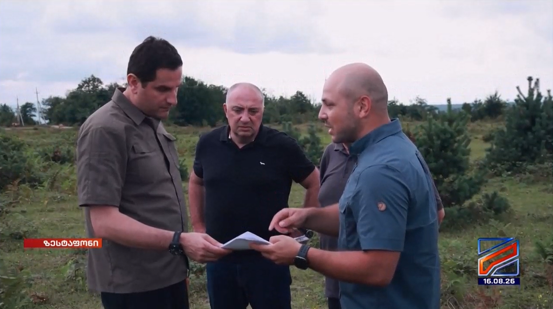 Monitoring of Chestnut Stands Underway in Zestafoni Municipality