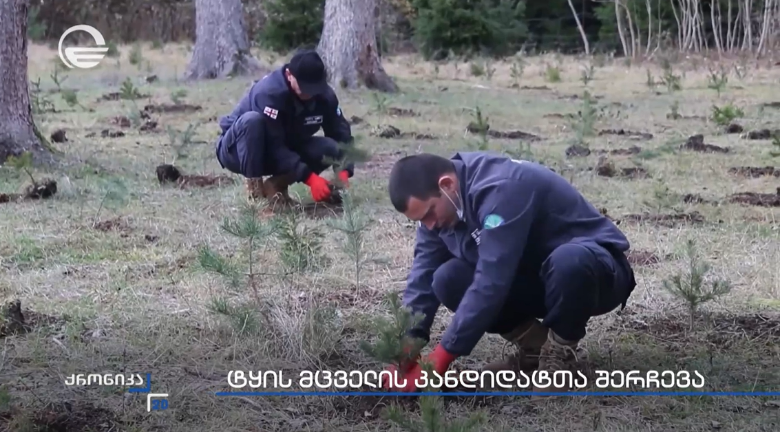 Nearly 500 New Employees to Join the Forestry Sector