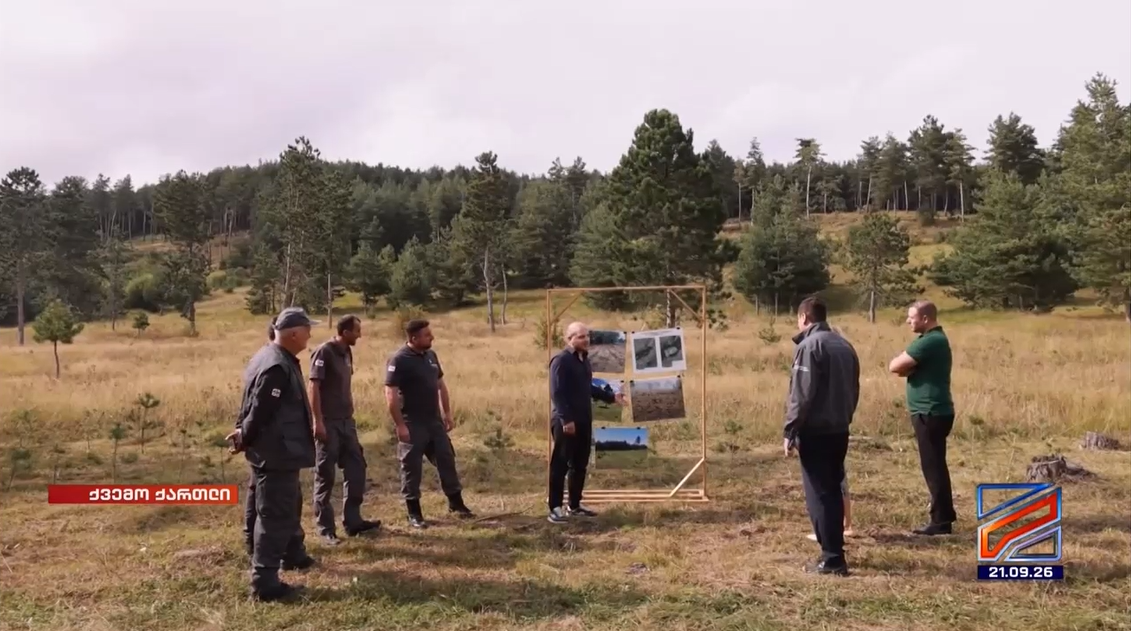 Forest Restoration Measures Underway in Tsalka-Tetritskaro Forest District