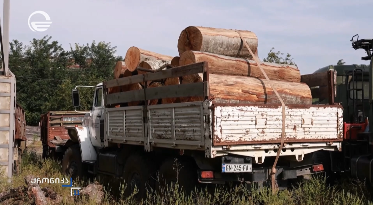 Illegal Extraction of Timber in Kakheti