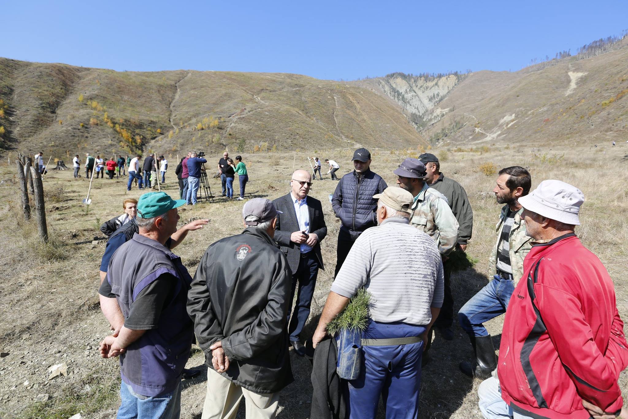 Reforestation works in Borjomi has begun 