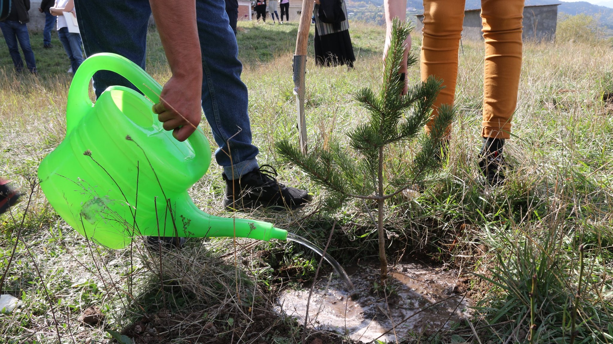 October 22 - International Tree planting Day 