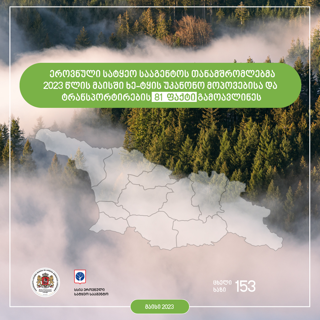ეროვნული სატყეო სააგენტოს თანამშრომლებმა,  მაისის თვეში, ხე-ტყის უკანონო მოპოვებისა და ტრანსპორტირების   81  ფაქტი გამოავლინეს