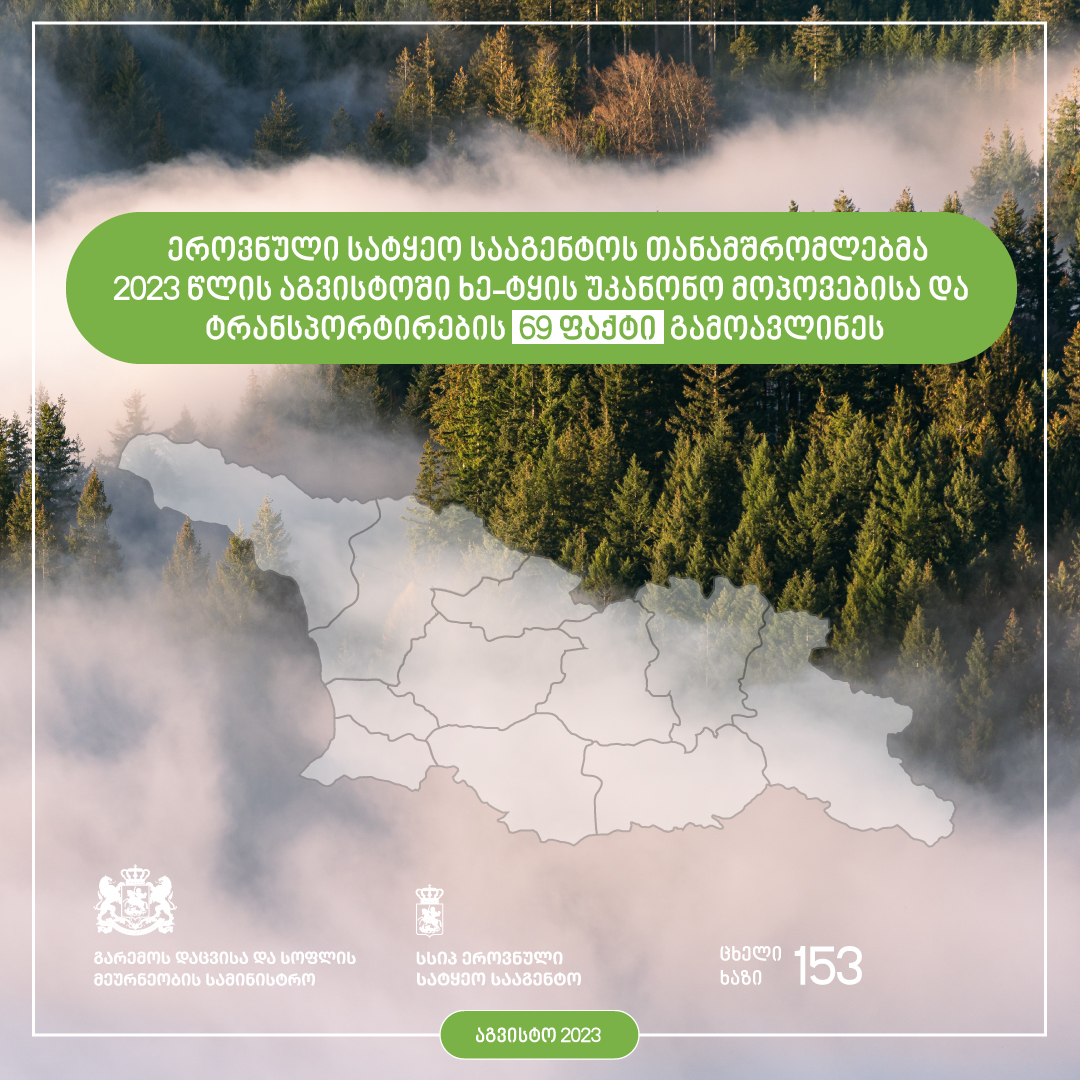 ეროვნული სატყეო სააგენტოს თანამშრომლებმა 2023 წლის აგვისტოს თვეში ხე-ტყის უკანონო მოპოვებისა და ტრანსპორტირების 69 ფაქტი გამოავლინეს