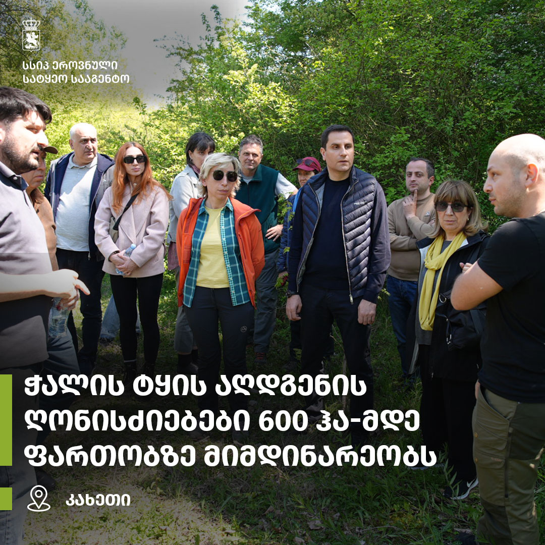 ტყის აღდგენის პროექტი