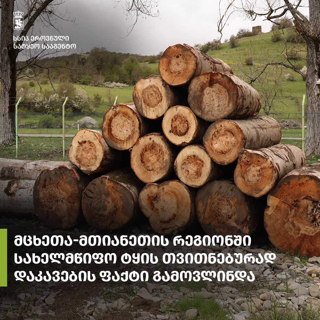 ტყის თვითნებურად დაკავების ფაქტი მცხეთა-მთიანეთში
