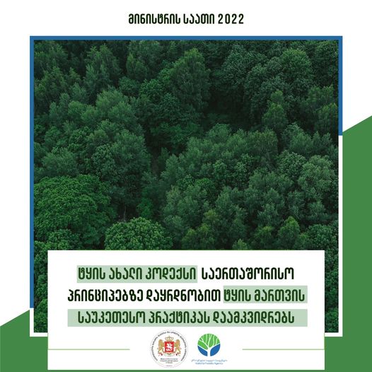 ტყის ახალი კოდექსი  საერთაშორისო პრინციპებზე დაყრდნობით ტყის მართვის საუკეთესო პრაქტიკას დაამკვიდრებს