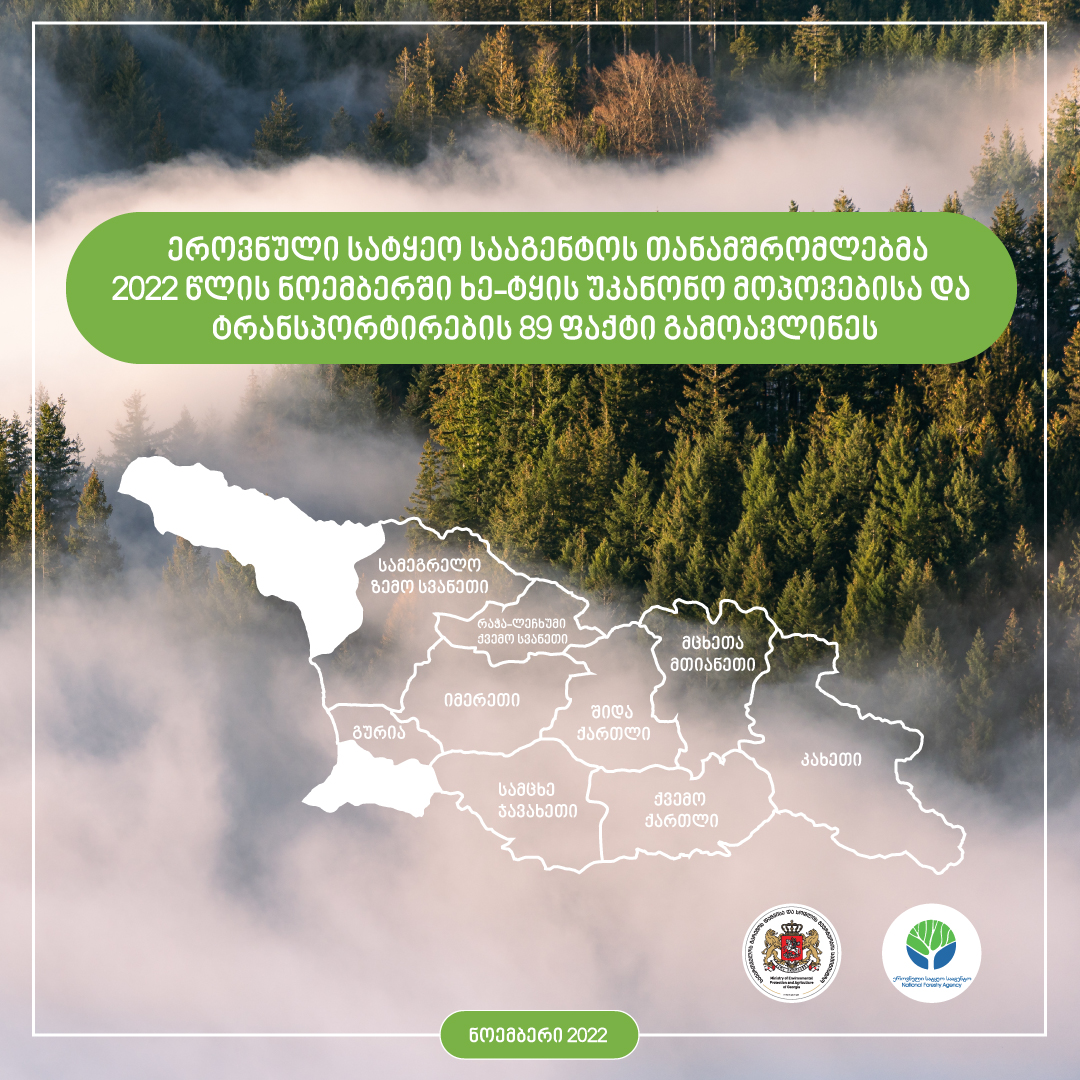 სსიპ ეროვნული სატყეო სააგენტოს თანამშრომლებმა, ნოემბრის თვეში ხე-ტყის უკანონო მოპოვებისა და ტრანსპორტირების 89 ფაქტი გამოავლინეს