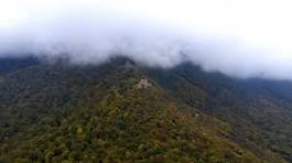 ყვარლის სატყეო უბნის ტყის მართვის გეგმის პროექტი