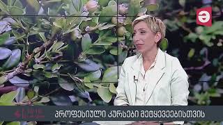 ნათია იორდანიშვილი სატყეო განათლების ხელშეწყობაზე გადაცემაში “მაესტრო რეგიონები”