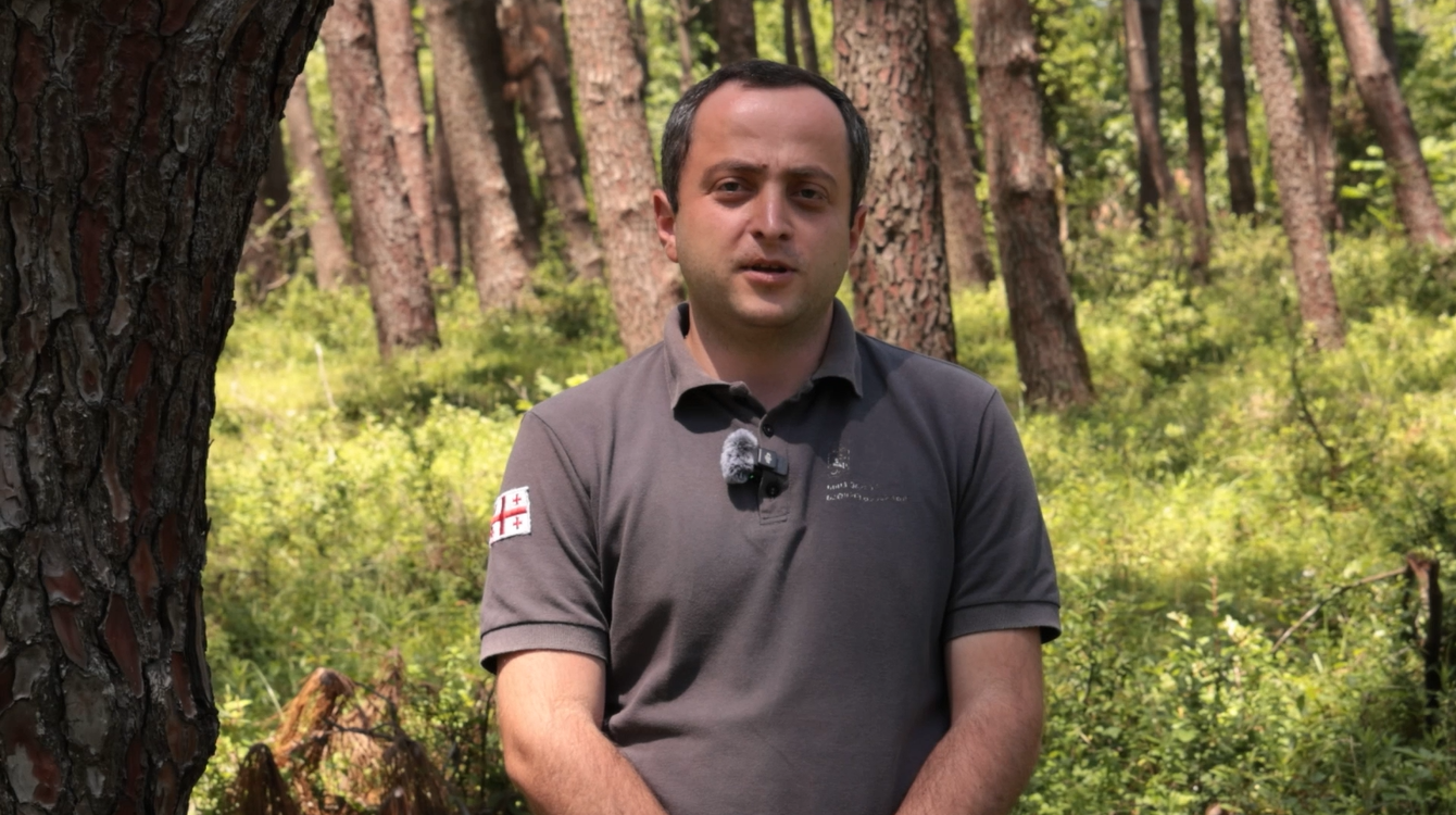 #მემეტყევევარ - ლაშა ჩხარტიშვილი, მეტყევე გურიიდან