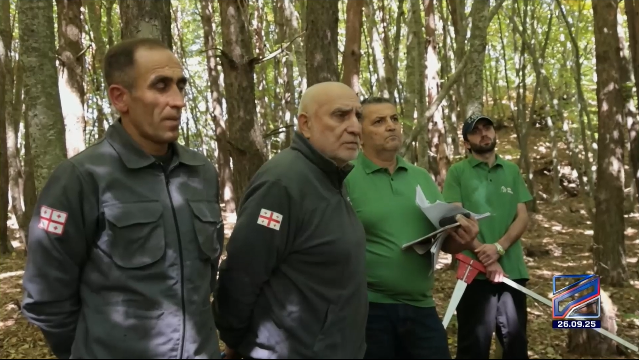 ტყის ინვენტარიზაციის სამუშაოები მცხეთა-მთიანეთის რეგიონში