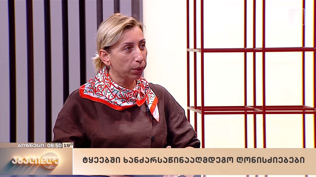  „დაიცავი ტყეში ქცევის წესები“ კამპანიის შესახებ ნათია იორდანიშვილი გადაცემაში „ახალი დღე