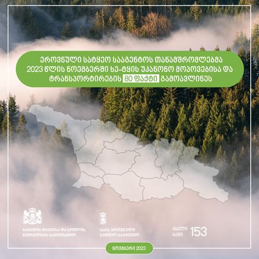 ეროვნული სატყეო სააგენტოს თანამშრომლებმა, 2023 წლის ნოემბრის თვეში, ხე-ტყის უკანონო მოპოვებისა და ტრანსპორტირების 80 ფაქტი გამოავლინეს 