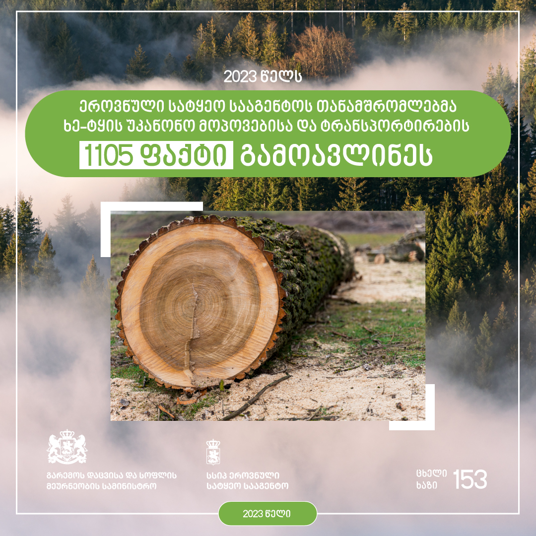ხე-ტყის უკანონო მოპოვებისა და ტრანსპორტირების 2023 წლის სტატისტიკა