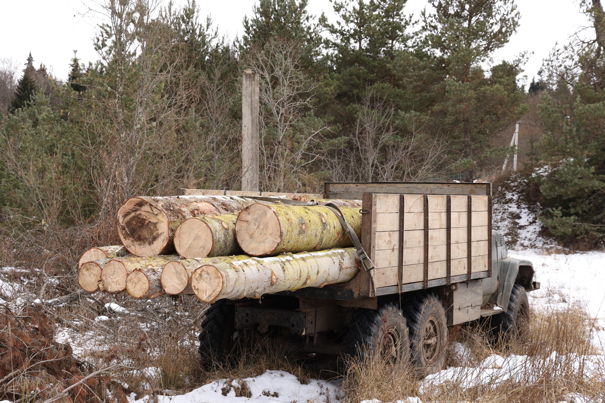  ხე-ტყის უკანონო მოპოვებისა და ტრანსპორტირების ფაქტი დაბა ბაკურიანში