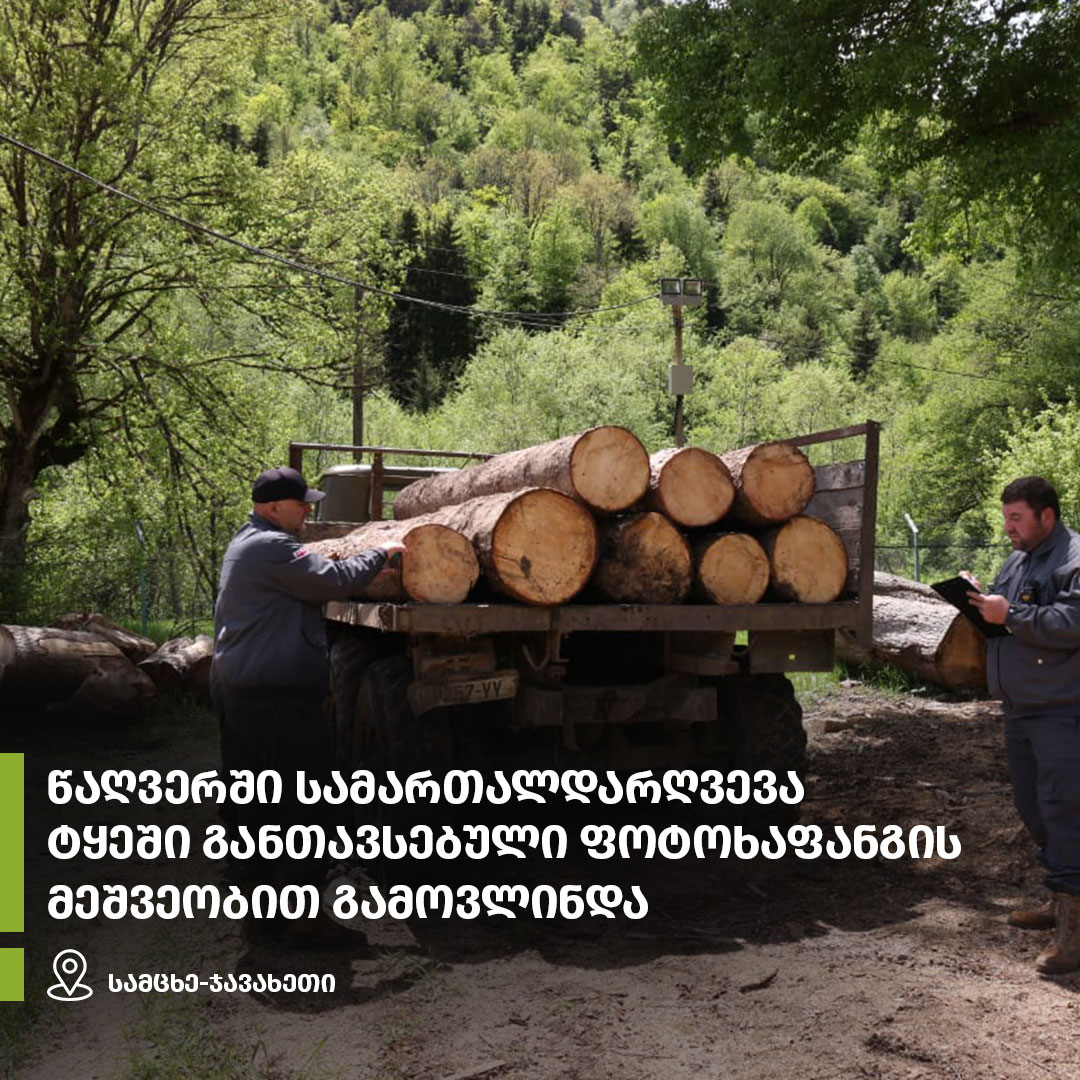 ბესიკ ამირანაშვილი: სატყეო რეფორმის ძირითადი მიზანია ტყის მონიტორინგისა და კონტროლის გაძლიერება