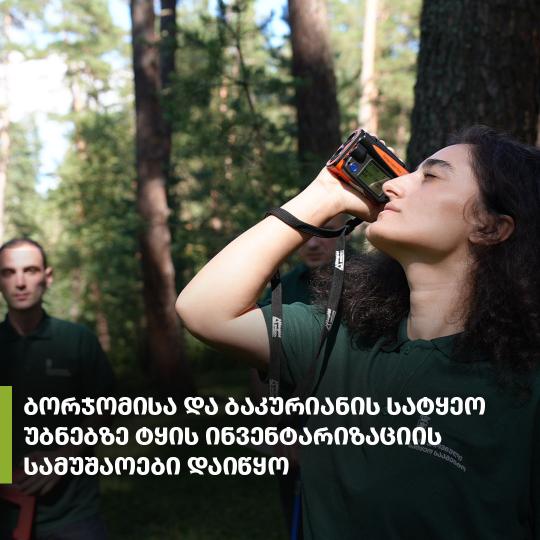 ბორჯომისა და ბაკურიანის სატყეო უბანზე ტყის ინვენტარიზაციის სამუშაოები დაიწყო