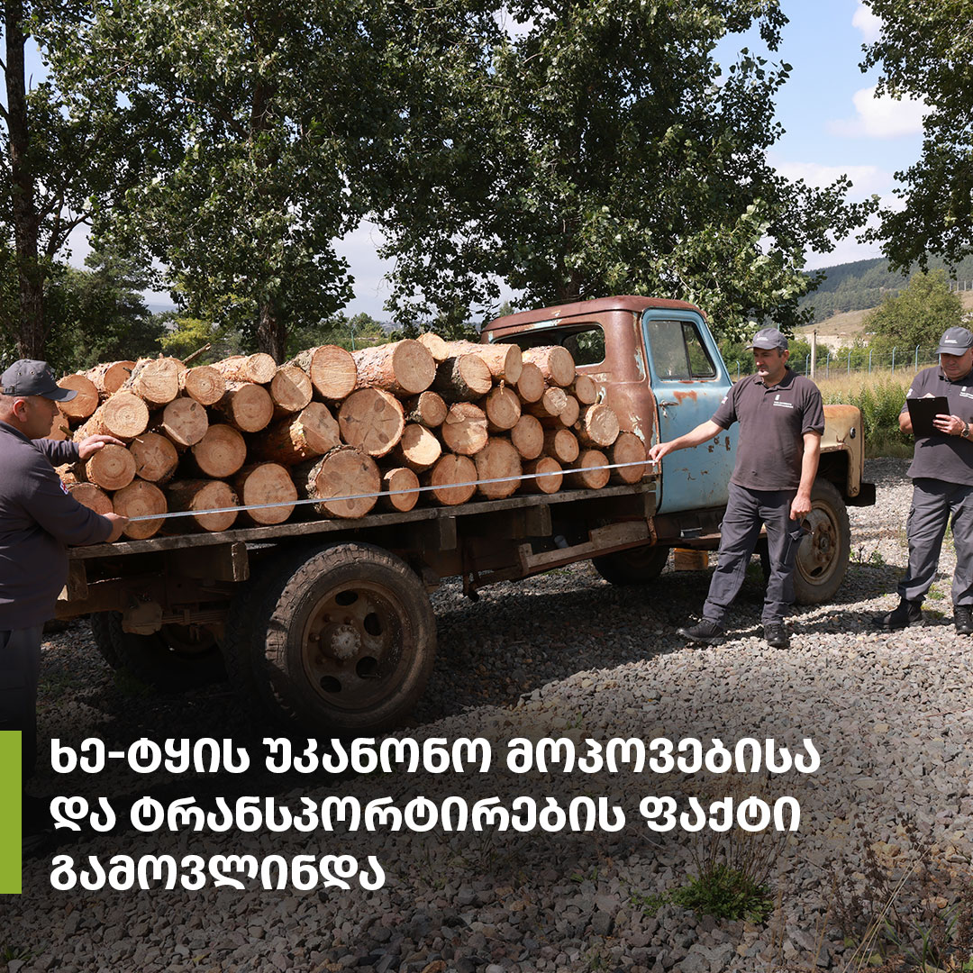 ხე-ტყის უკანონო მოპოვებისა და ტრანსპორტირების ფაქტი წალკაში