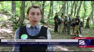 მეტყევე-ტაქსატორები ტყის ინვენტარიზაციის სამუშაოებზე დასაქმდებიან