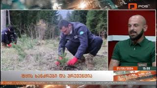 ზაფხული ხანძარსაშიში პერიოდია - გიორგი ბერეჩიკიძე ბიზნესპოსტის ეთერში