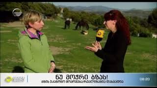 ბზის მოჭრა, ამოძირკვა ან ტოტების დაზიანება დასჯადი ქმედებაა