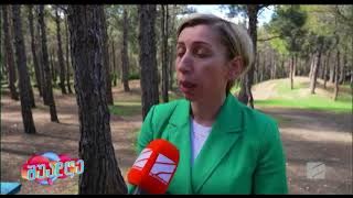 ბზის მოჭრაზე კონტროლი გამკაცრდა