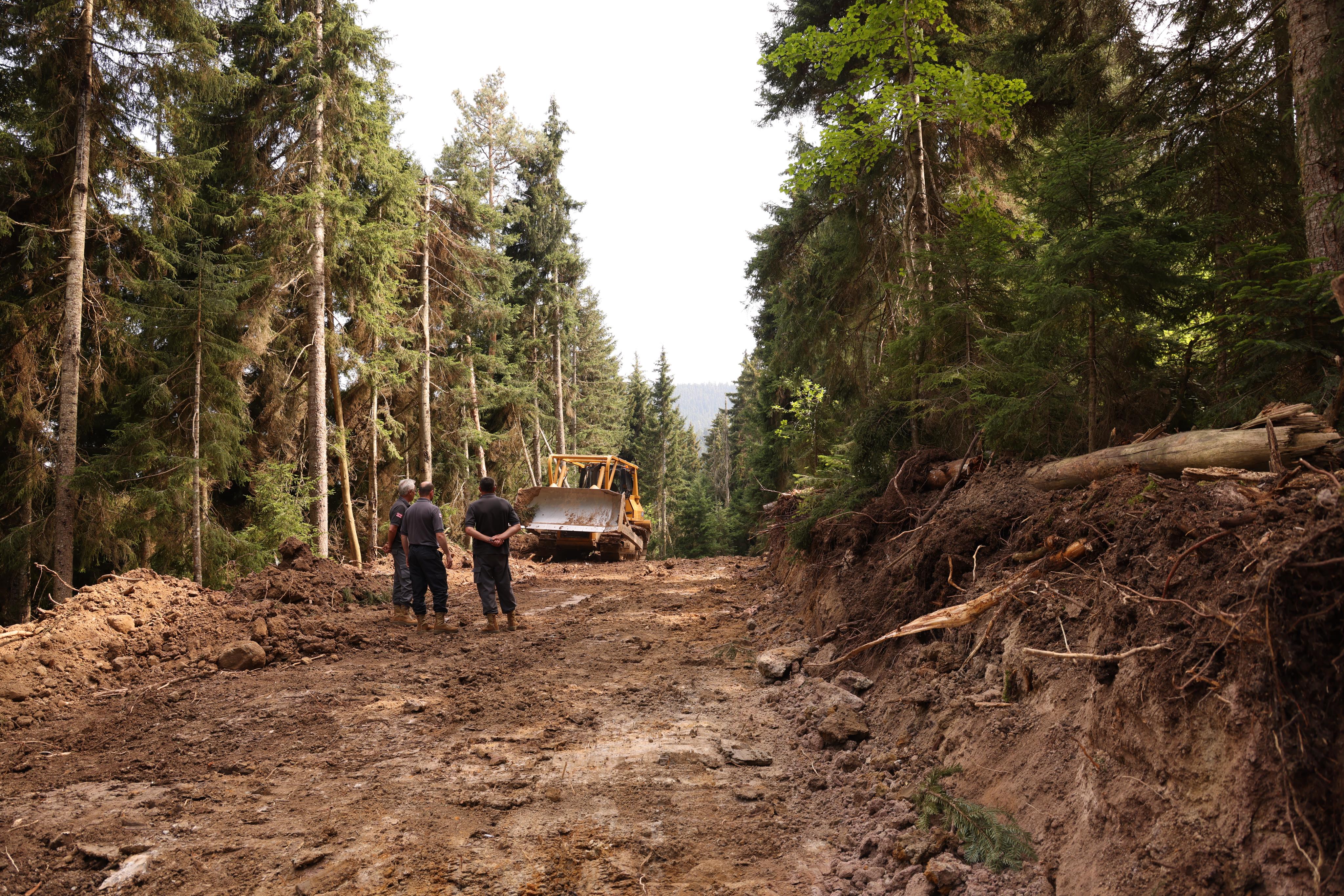 სამეურნეო-სატყეო გზების რეაბილიტაცია სოფელ კეხოვანში