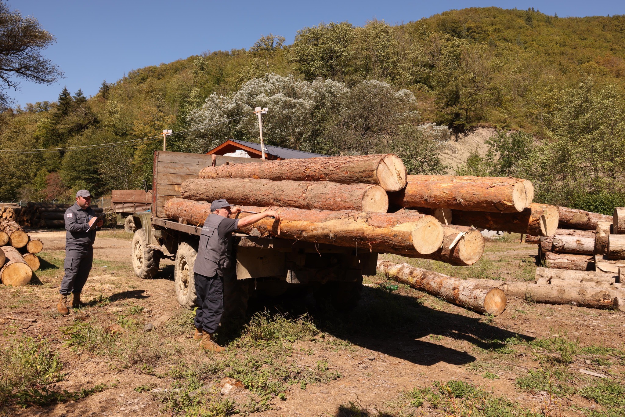 დიდი ოდენობით ხე-ტყით უკანონო სარგებლობის ფაქტი წაღვერში