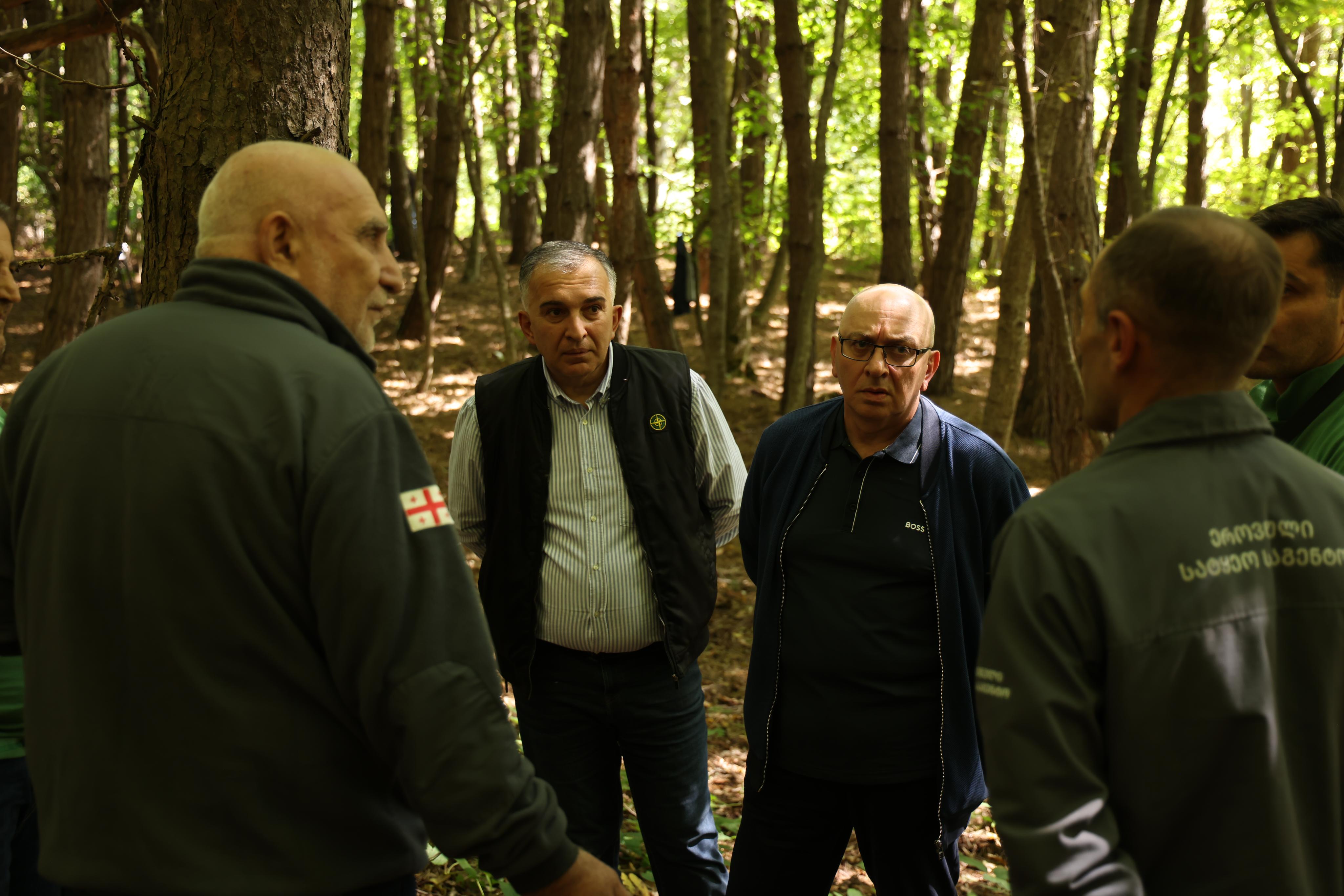 ტყის ინვენტარიზაციის სამუშაოები მცხეთა-მთიანეთის რეგიონში