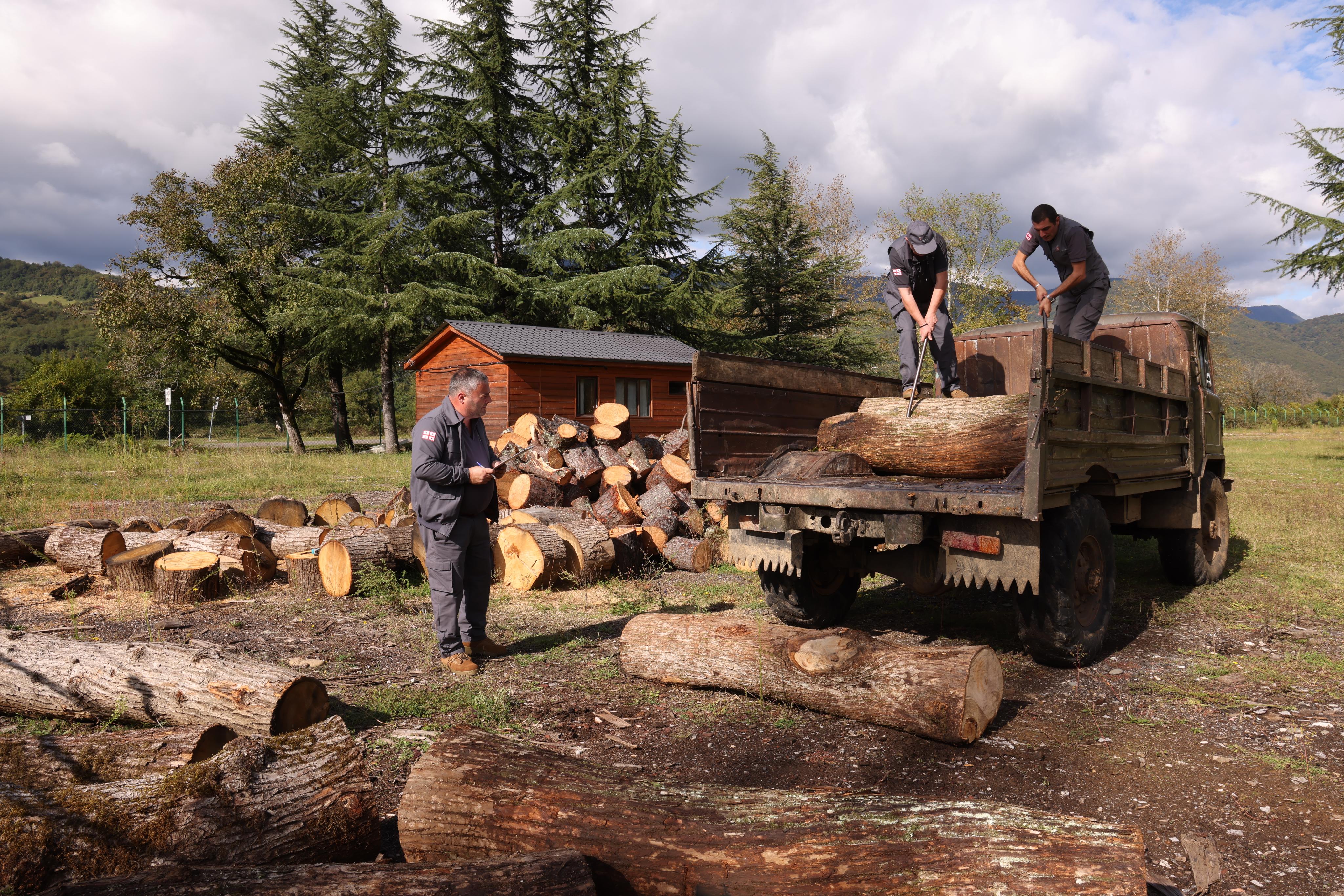 სახელმწიფო ტყეში ხე-ტყის უკანონო მოპოვებისა და ტრანსპორტირების ფაქტი ხონის მუნიციპალიტეტში