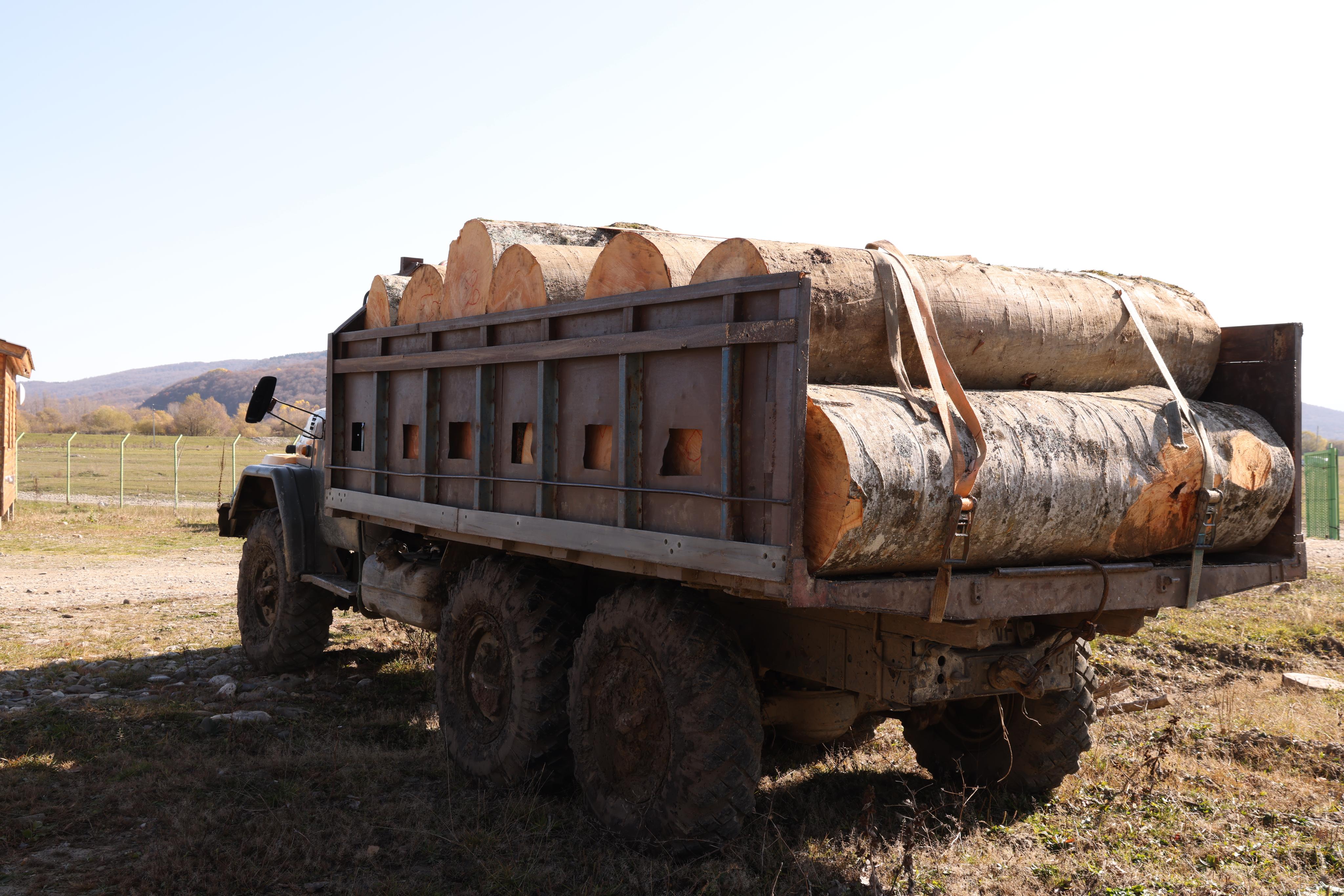 ხე-ტყის უკანონო მოპოვება და ტრანსპორტირება მცხეთა-მთიანეთში