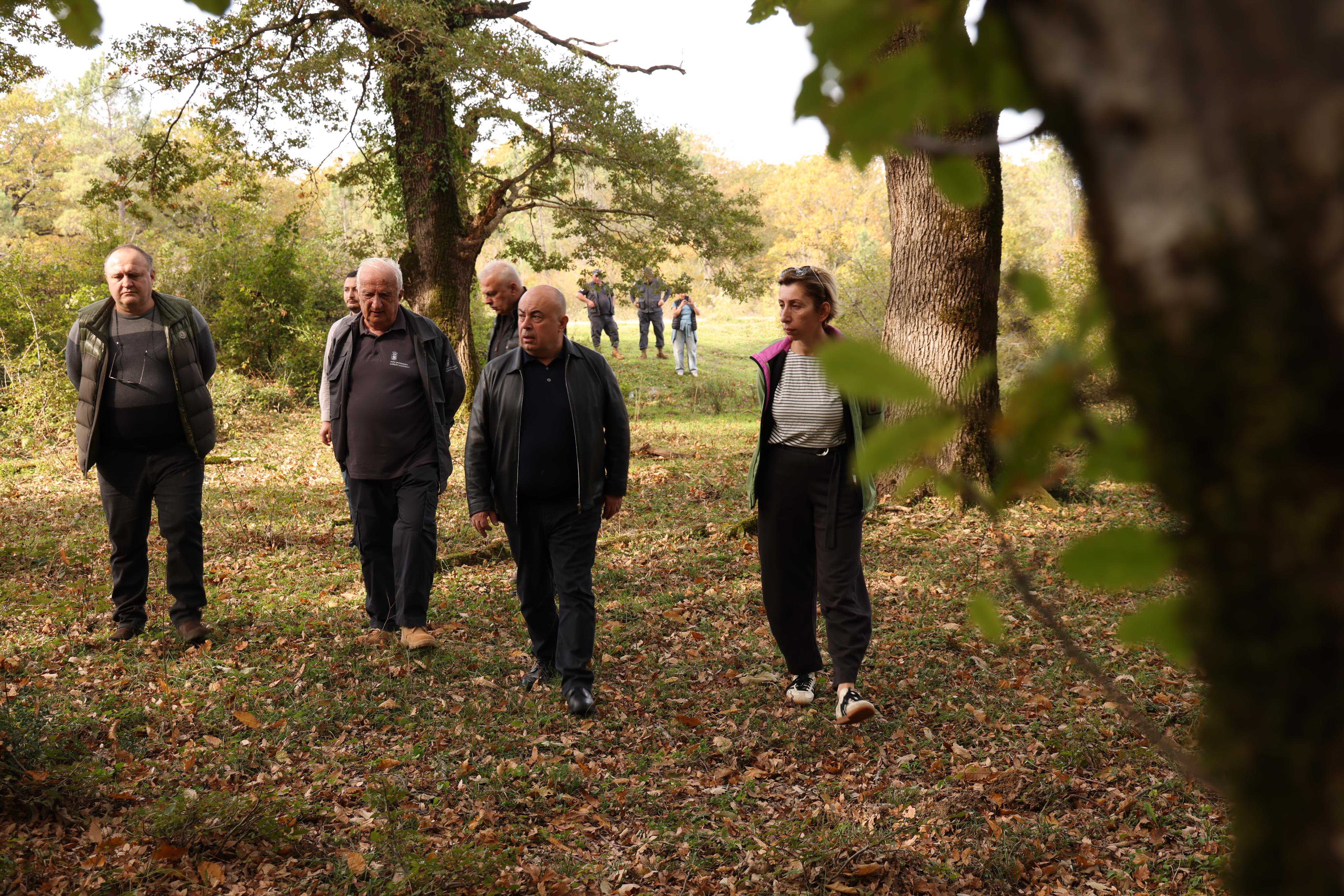 ტყის აღდგენის პროექტი ქუთაისის მუხნარში