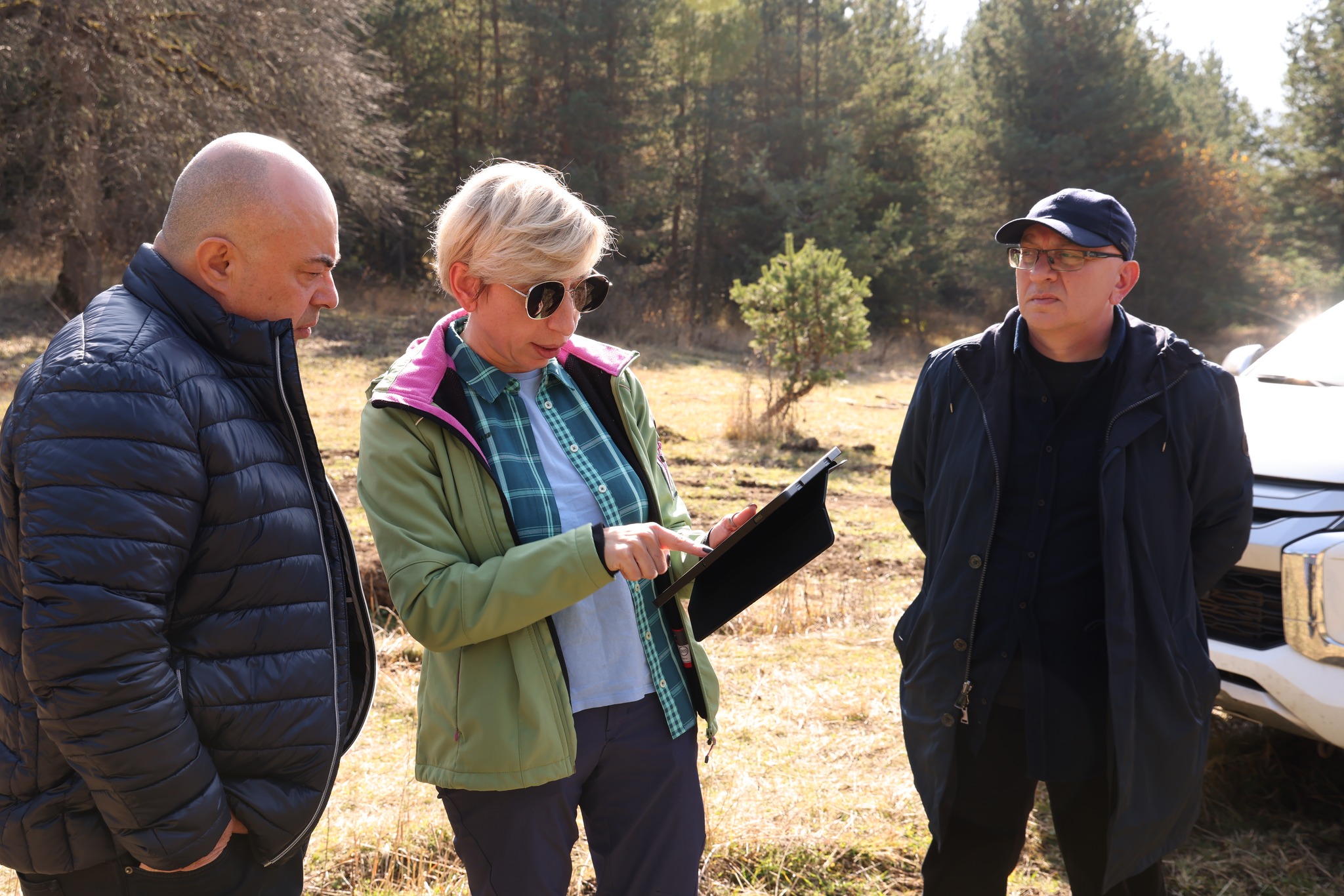 ტყის ბუნებრივი განახლება ბაკურიანში