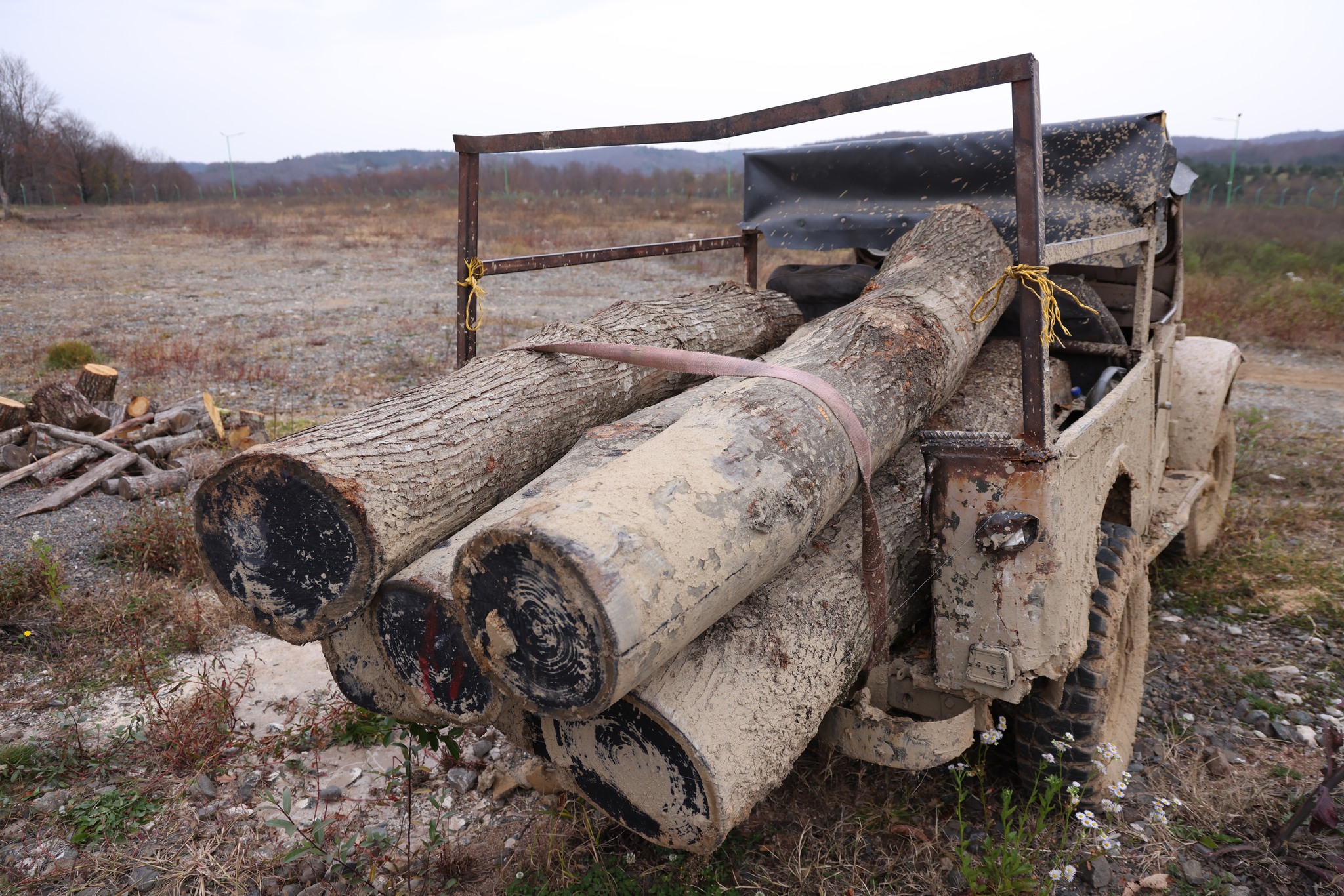 ხე-ტყის უკანონო მოპოვებისა და ტრანსპორტირების ფაქტი ჭიათურაში