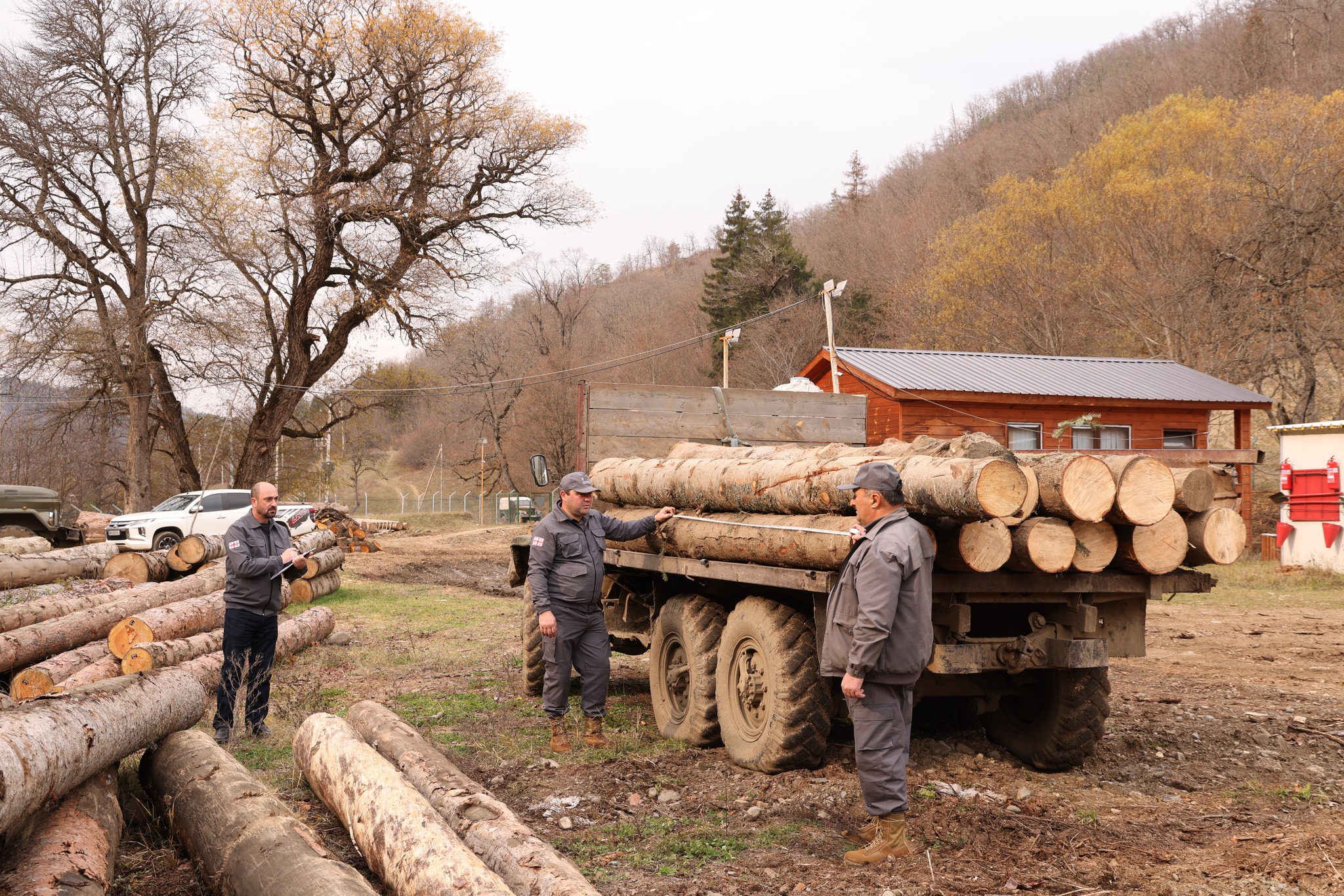 ბაკურიანი-წაღვერის სატყეო უბნის ტერიტორიაზე ხე-ტყის უკანონო მოპოვებისა და ტრანსპორტირების ფაქტი გამოვლინდა   