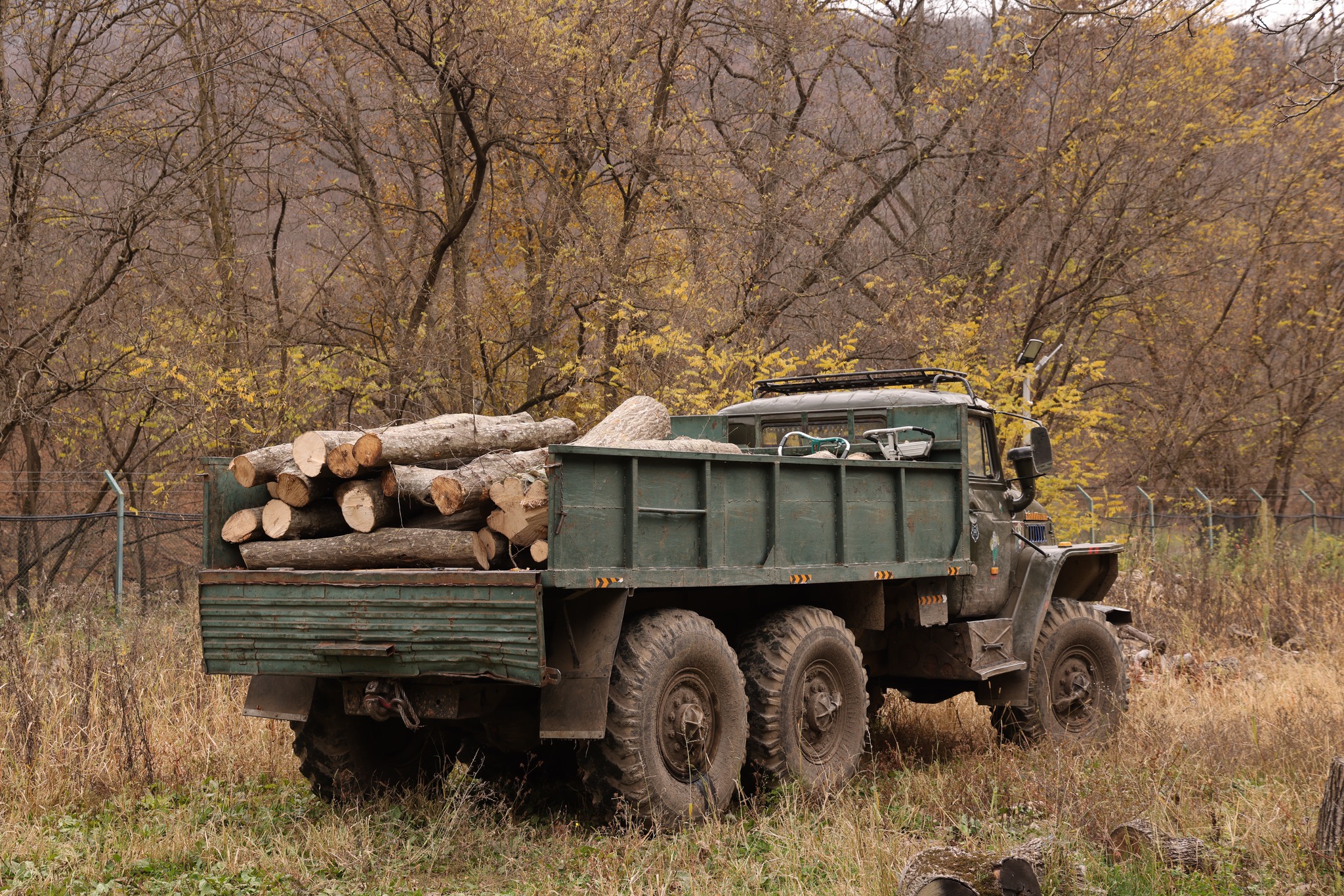 ხე-ტყის უკანონო მოპოვებისა და ტრანსპორტირების ფაქტი ბოლნისი-დმანისის სატყეო უბანზე