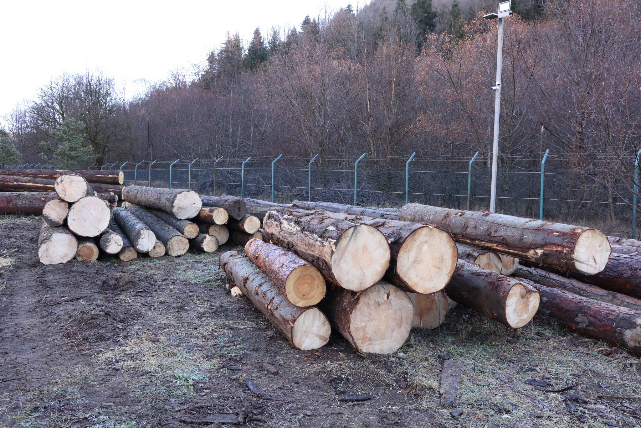 დაბა ბაკურიანში სამართალდარღვევის ორი ფაქტი